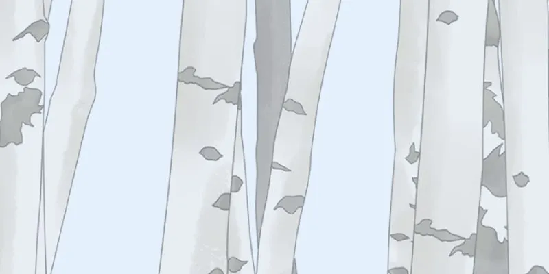 Cinderella Boy Chapter 79 page 9 - 