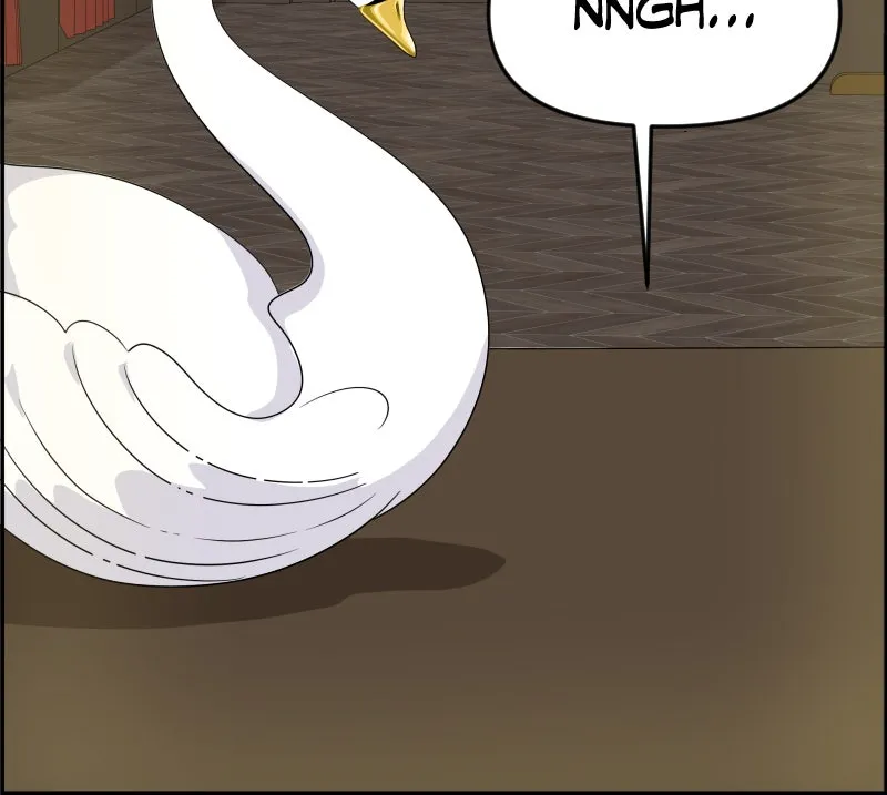 Cinderella Boy Chapter 84 page 51 - 