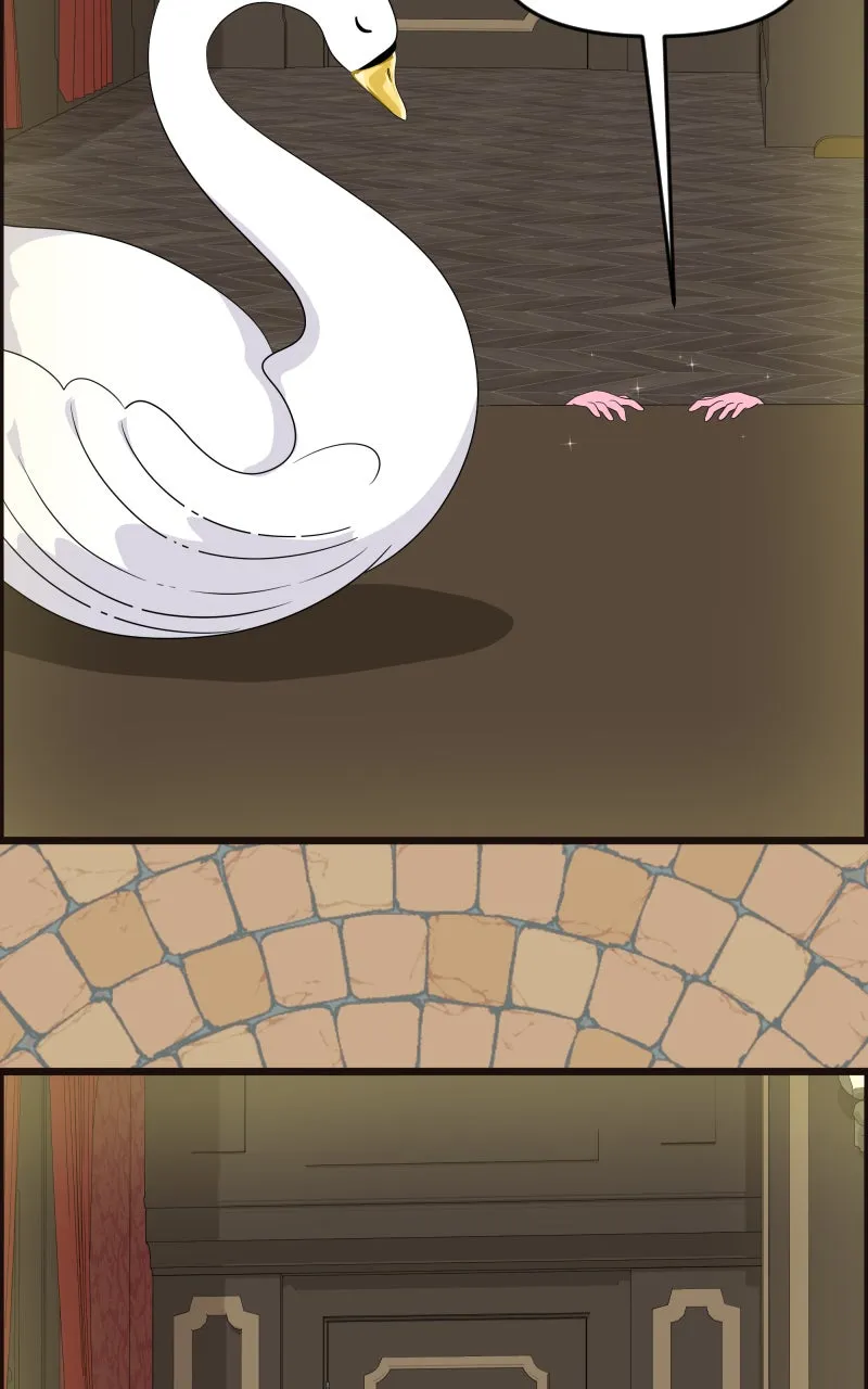 Cinderella Boy Chapter 84 page 53 - 