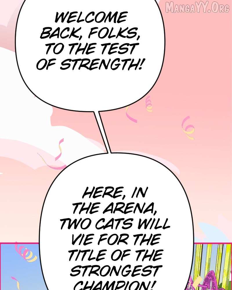 Cinderella Boy Chapter 91 page 23 - 