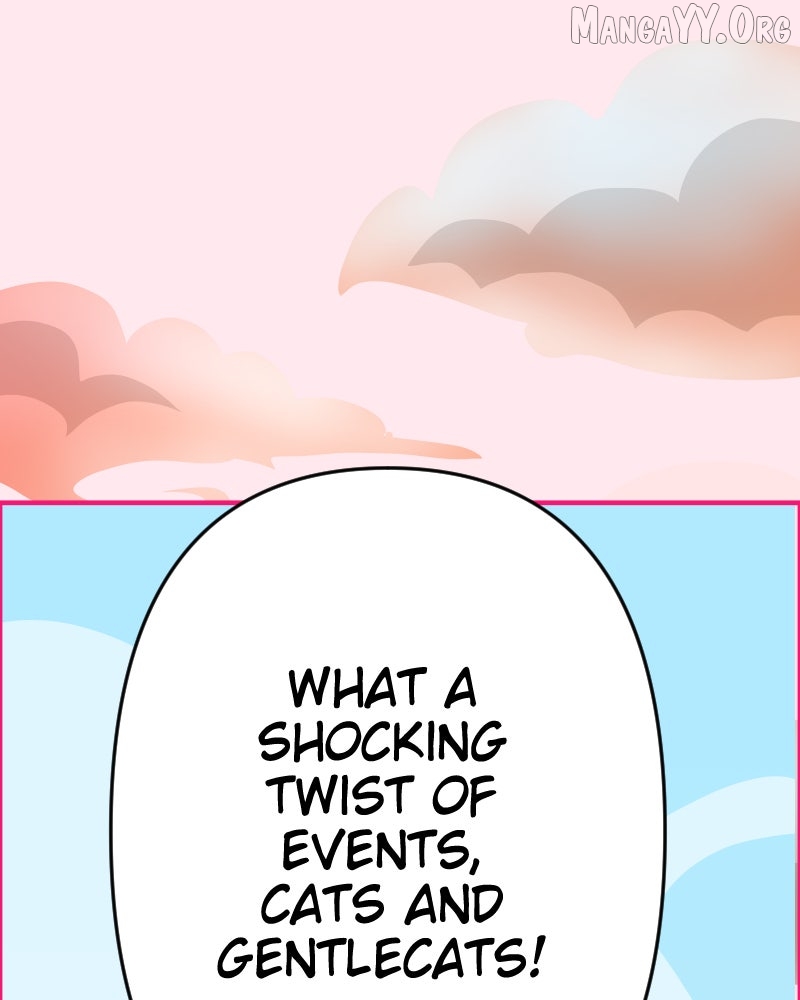 Cinderella Boy Chapter 91 page 70 - 