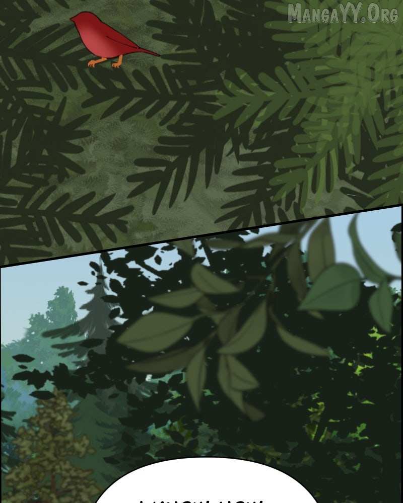 Cinderella Boy Chapter 97 page 142 - 