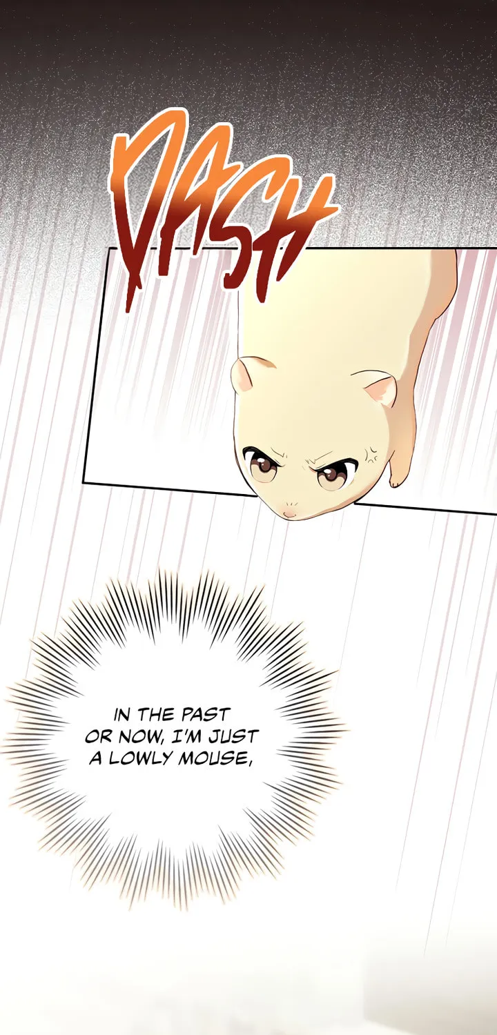 Cinderella-neun I Metbatjwiga Deryeogamnida Chapter 1 page 114 - 
