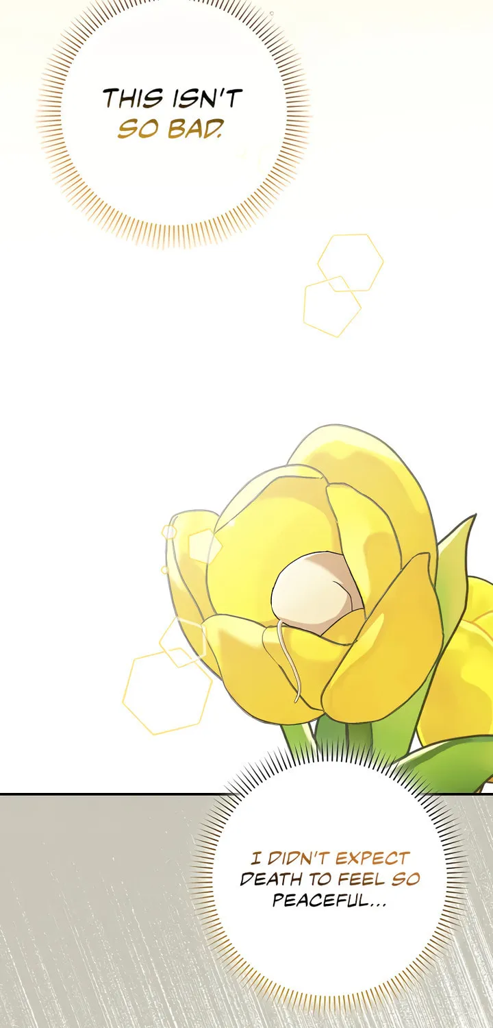 Cinderella-neun I Metbatjwiga Deryeogamnida Chapter 1 page 66 - 