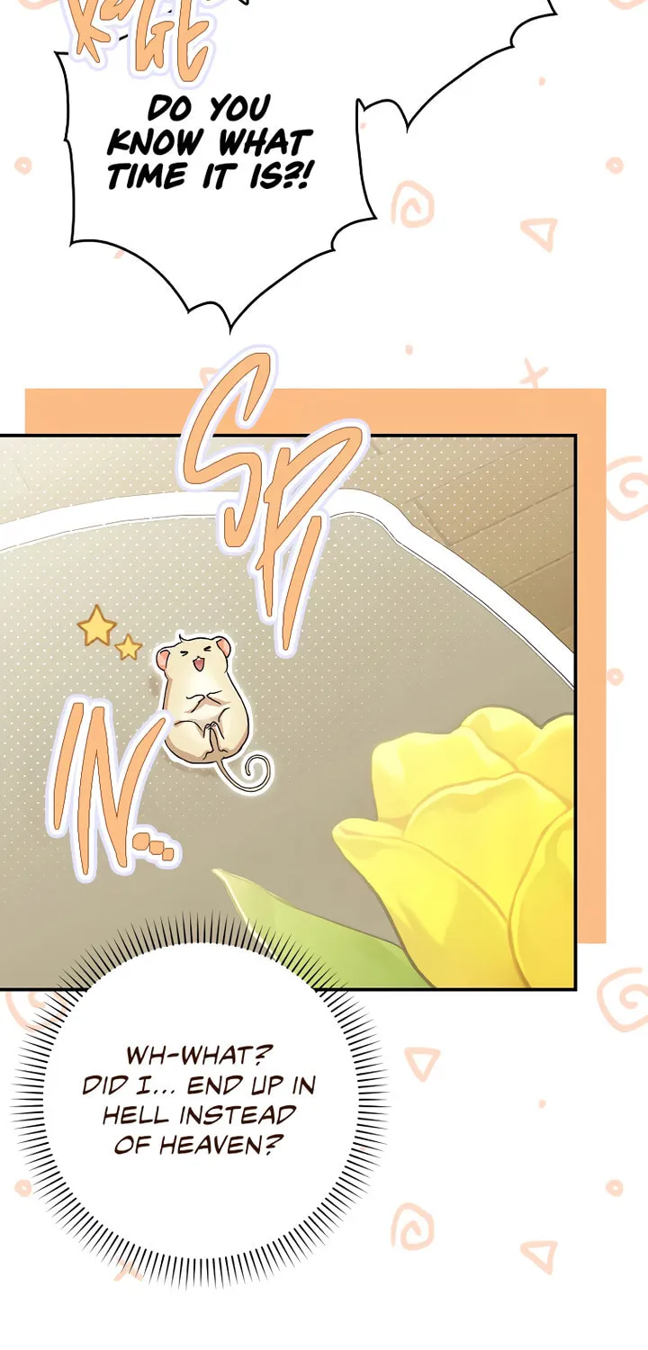 Cinderella-neun I Metbatjwiga Deryeogamnida Chapter 1 page 69 - 