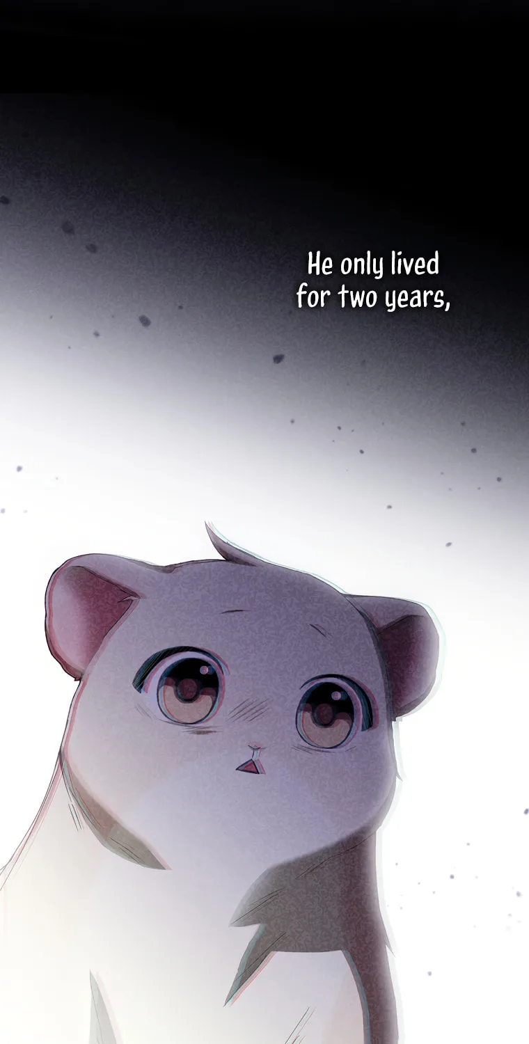 Cinderella-neun I Metbatjwiga Deryeogamnida Chapter 11 page 66 - 