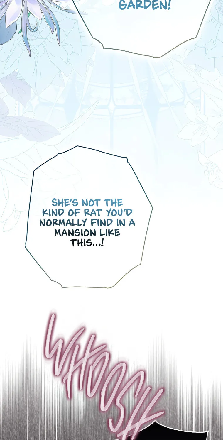 Cinderella-neun I Metbatjwiga Deryeogamnida Chapter 2 page 29 - 