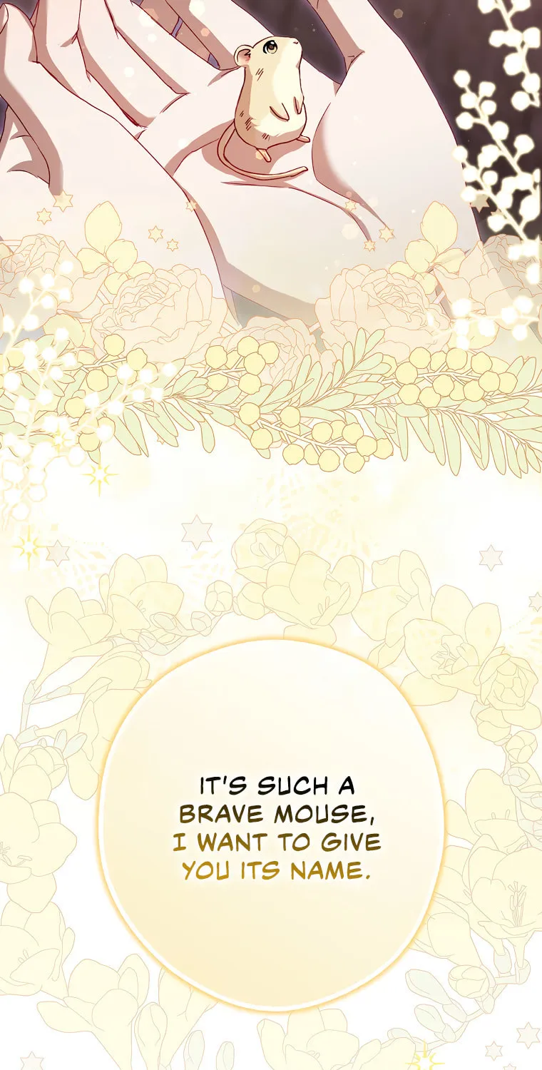 Cinderella-neun I Metbatjwiga Deryeogamnida Chapter 2 page 68 - 