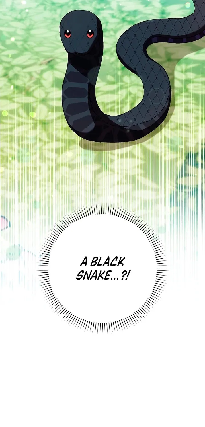 Cinderella-neun I Metbatjwiga Deryeogamnida Chapter 26 page 25 - 