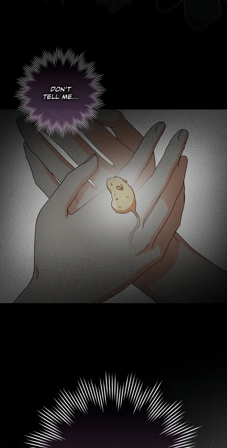 Cinderella-neun I Metbatjwiga Deryeogamnida Chapter 3 page 35 - 