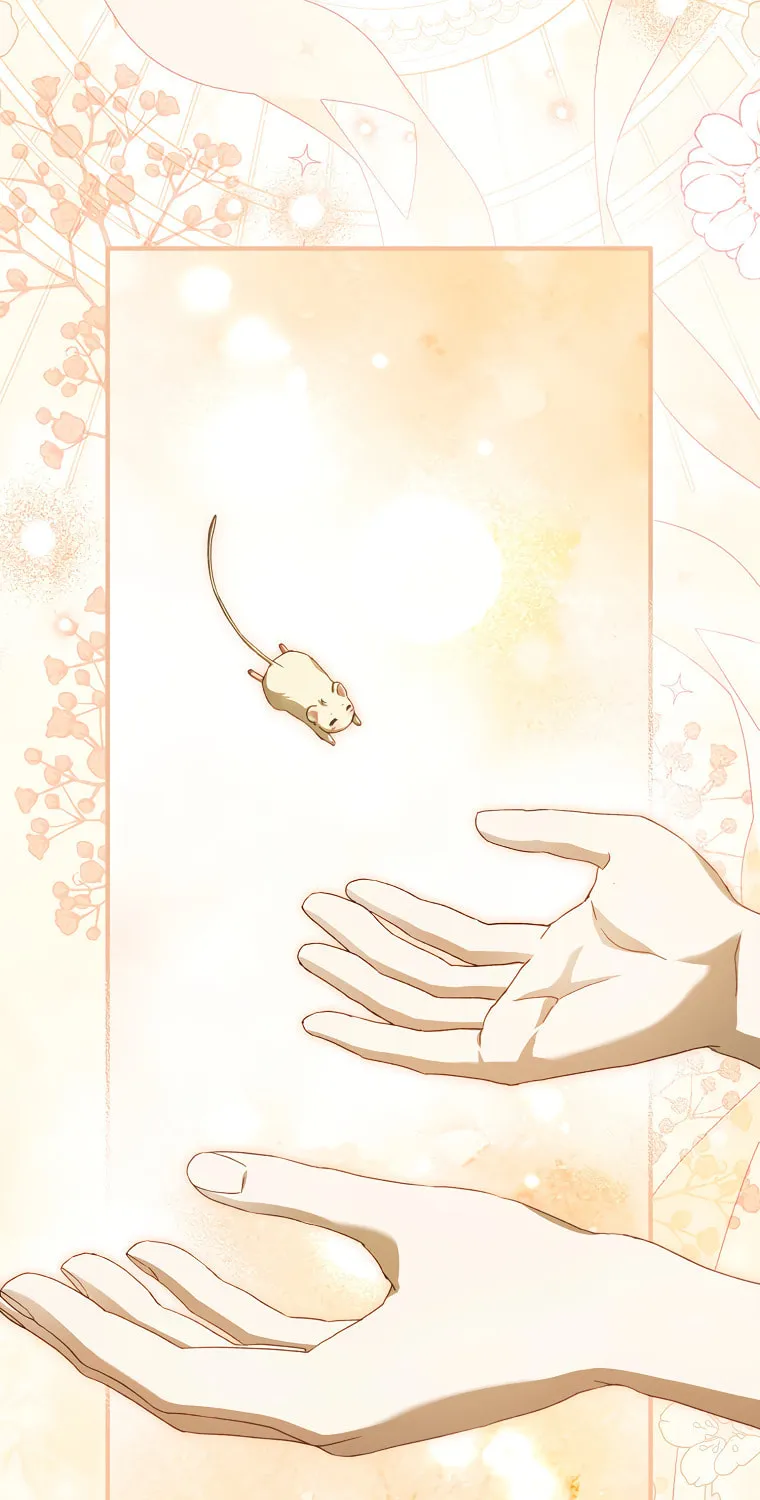 Cinderella-neun I Metbatjwiga Deryeogamnida Chapter 5 page 106 - 