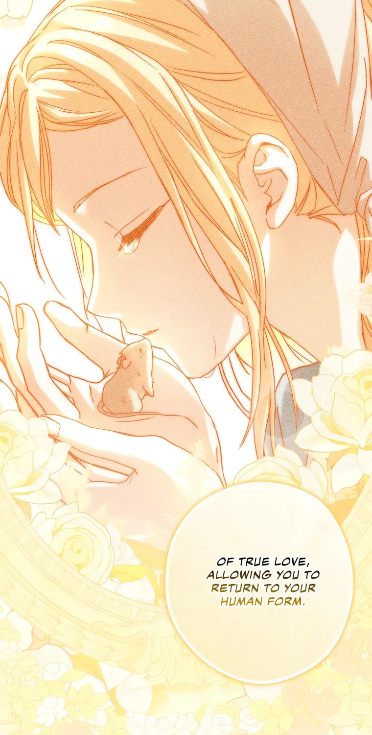 Cinderella-neun I Metbatjwiga Deryeogamnida Chapter 6 page 82 - 