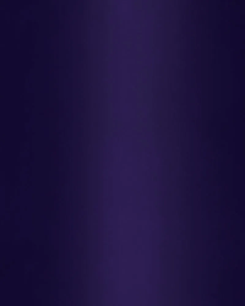 City of Blank Chapter 106 page 5 - 