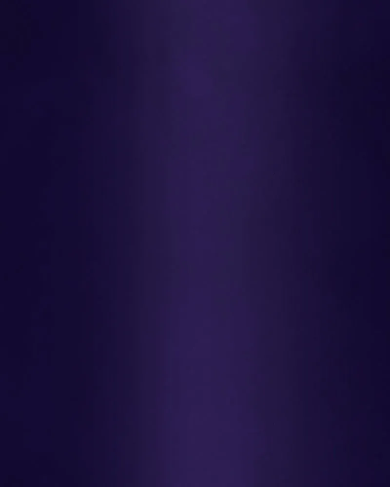 City of Blank Chapter 106 page 52 - 