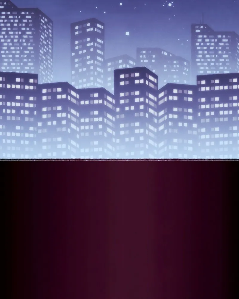 City of Blank Chapter 108 page 4 - 
