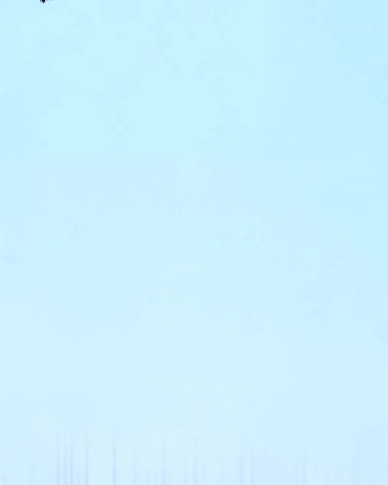 City of Blank Chapter 112 page 91 - 