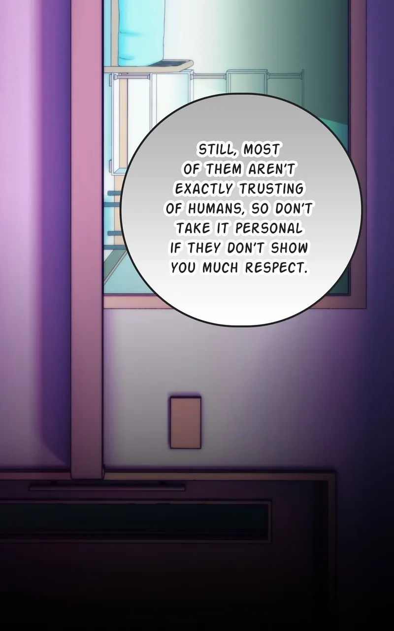 City of Blank Chapter 142 page 13 - 