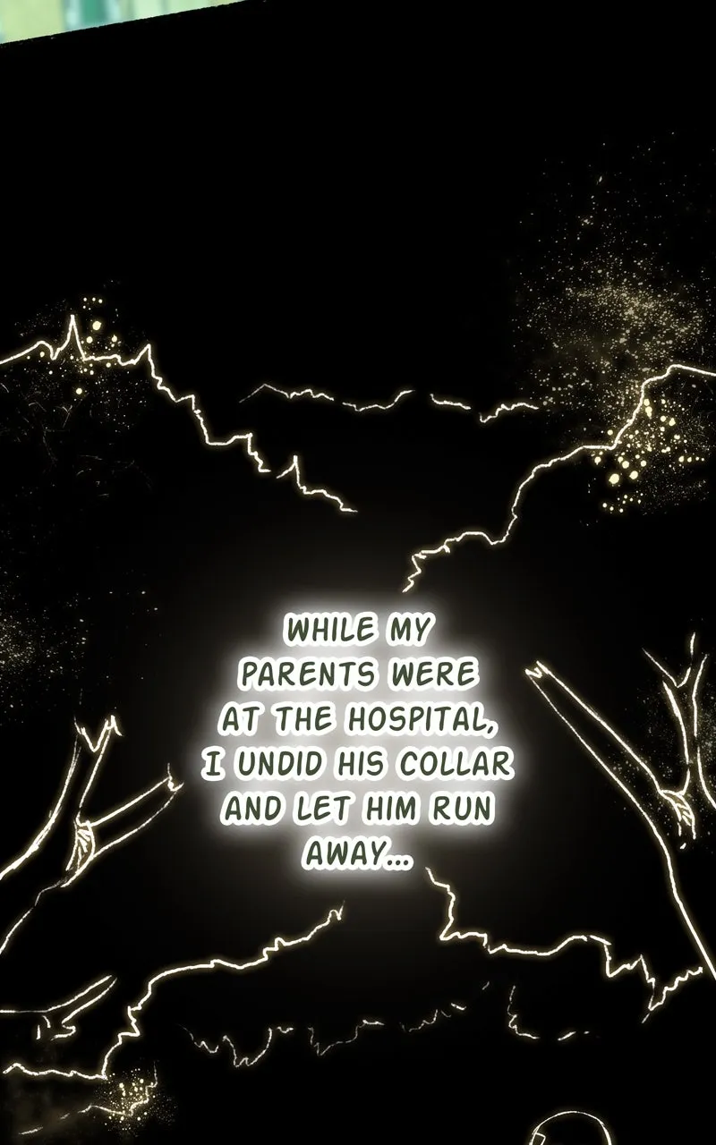 City of Blank Chapter 143 page 68 - 