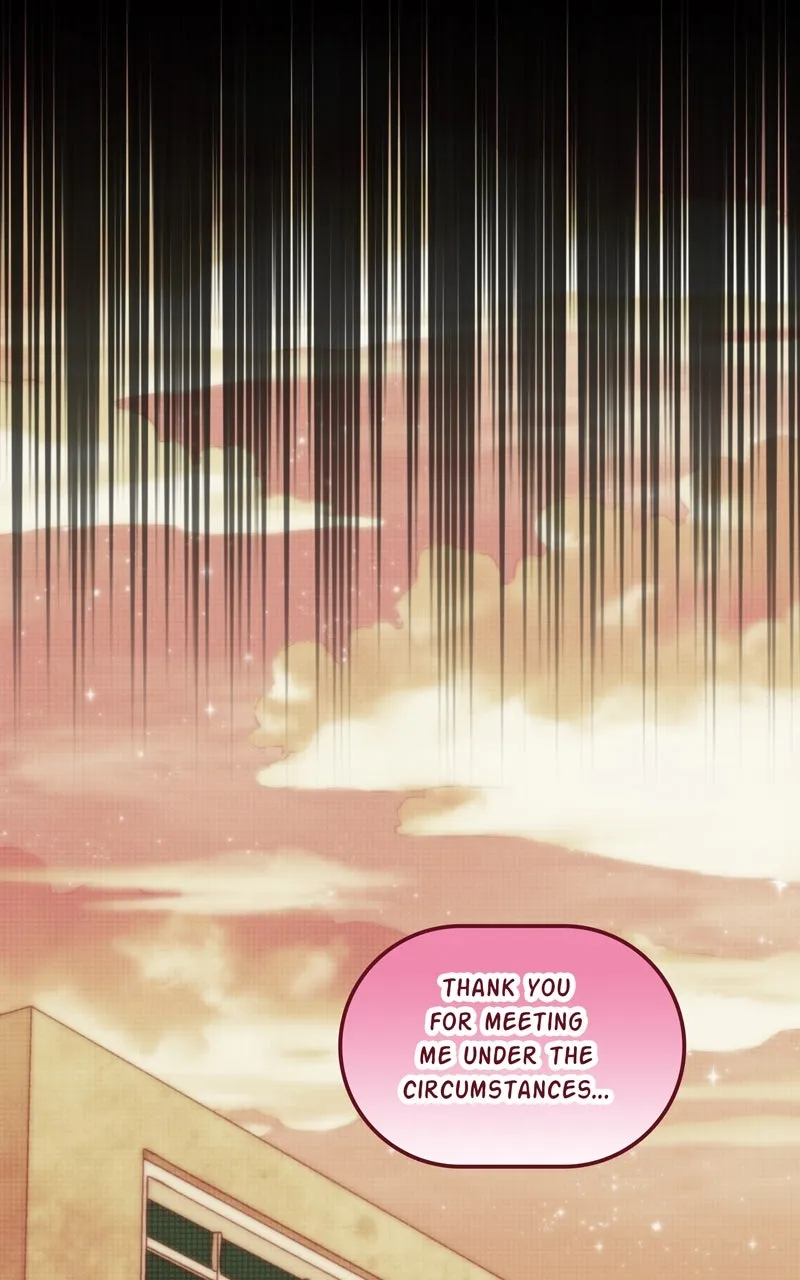 City of Blank Chapter 156 page 32 - 