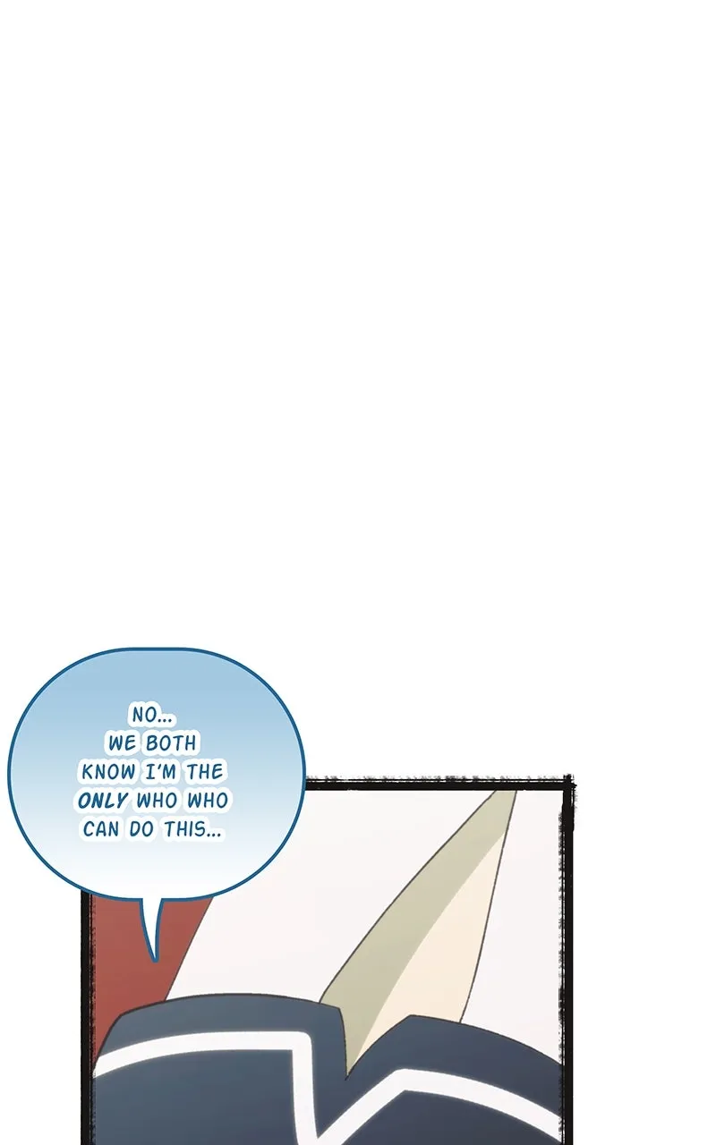 City of Blank Chapter 161 page 12 - 