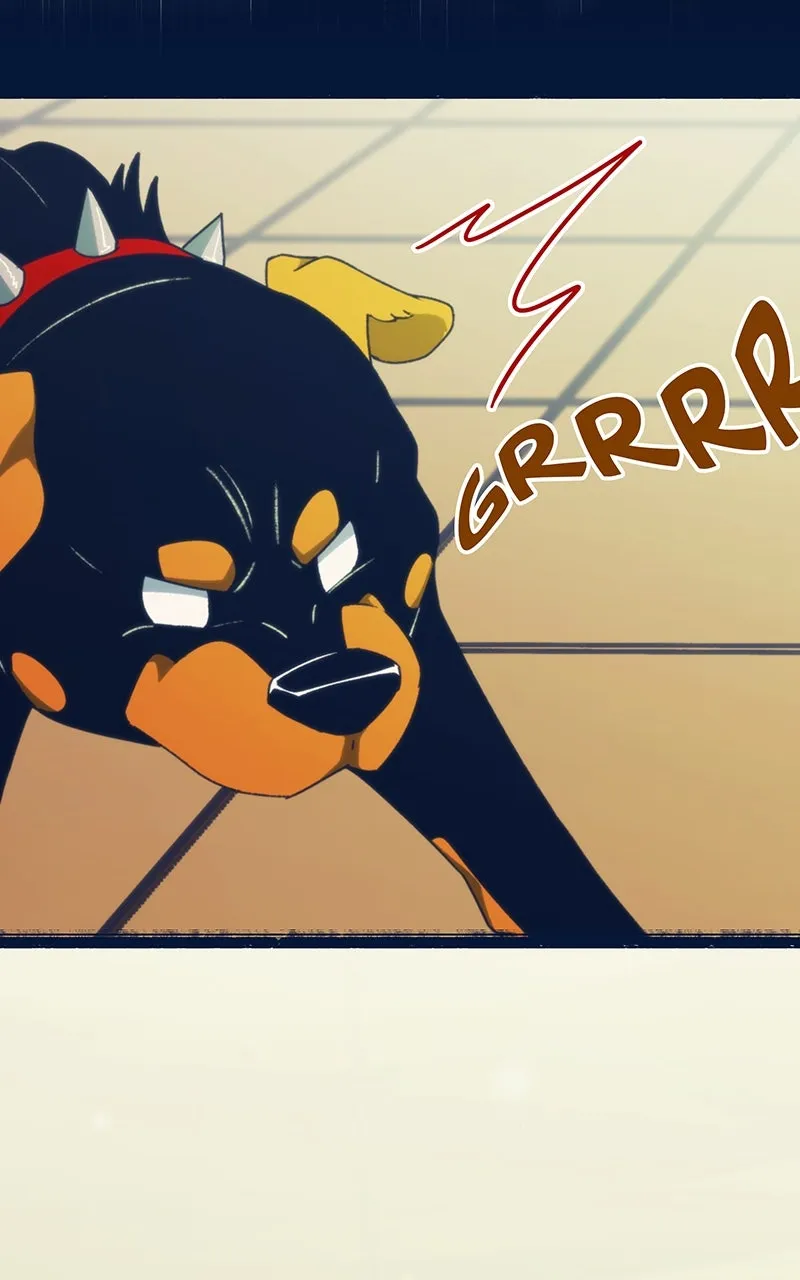 City of Blank Chapter 166 page 41 - 