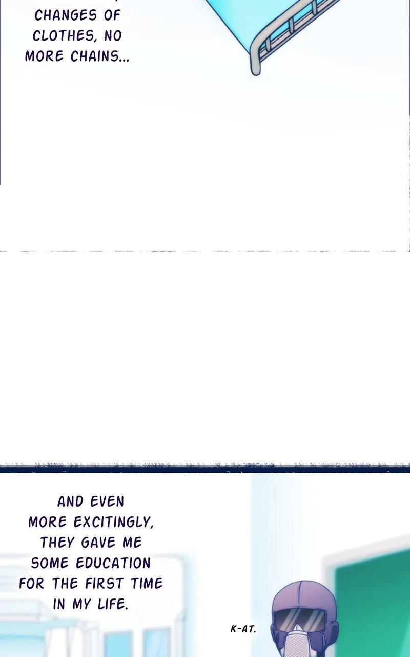 City of Blank Chapter 167 page 13 - 