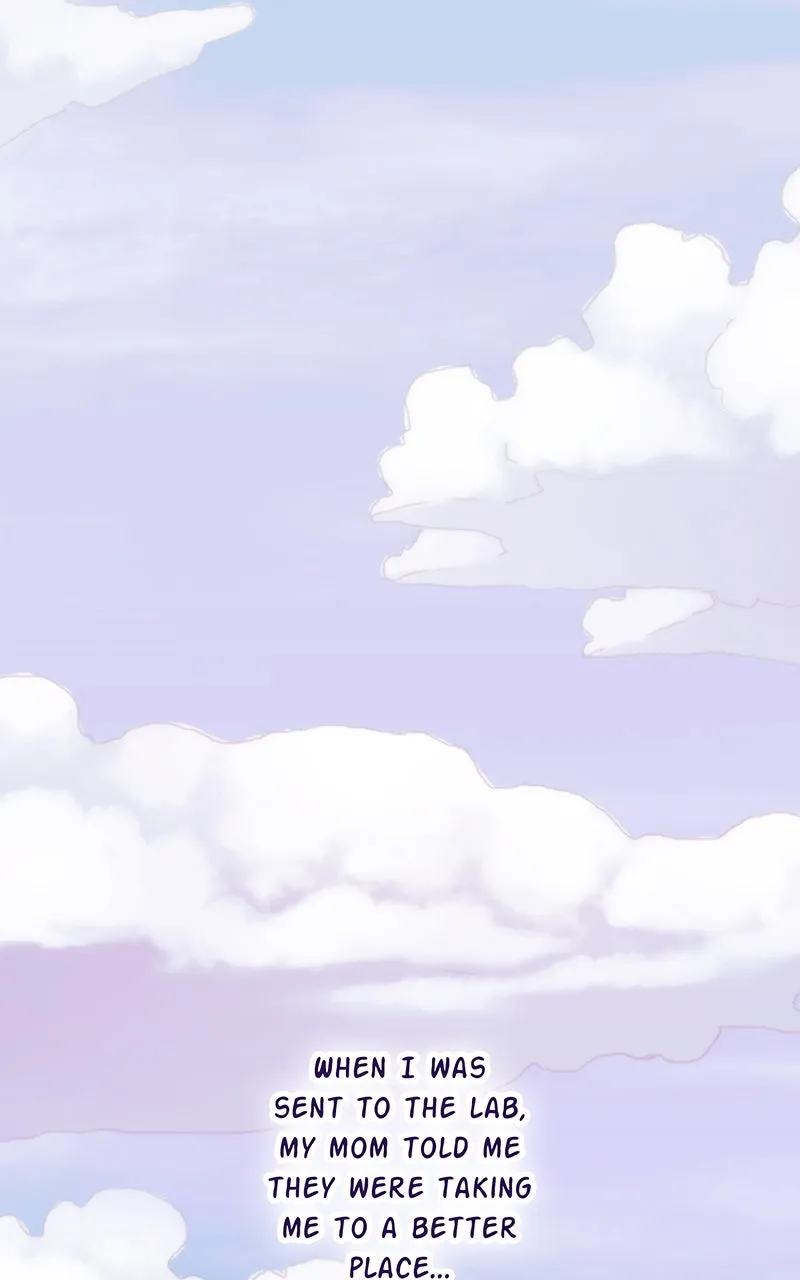 City of Blank Chapter 167 page 3 - 