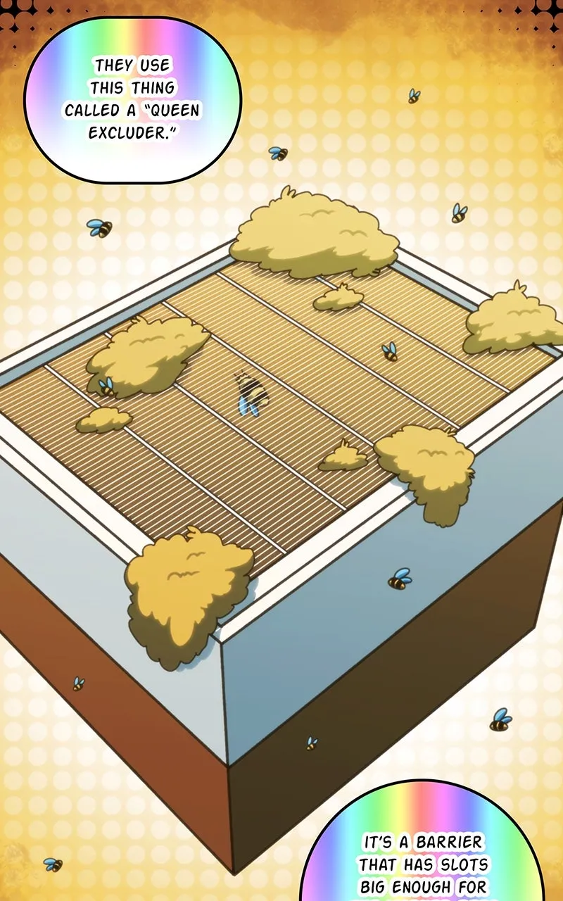 City of Blank Chapter 182 page 61 - 