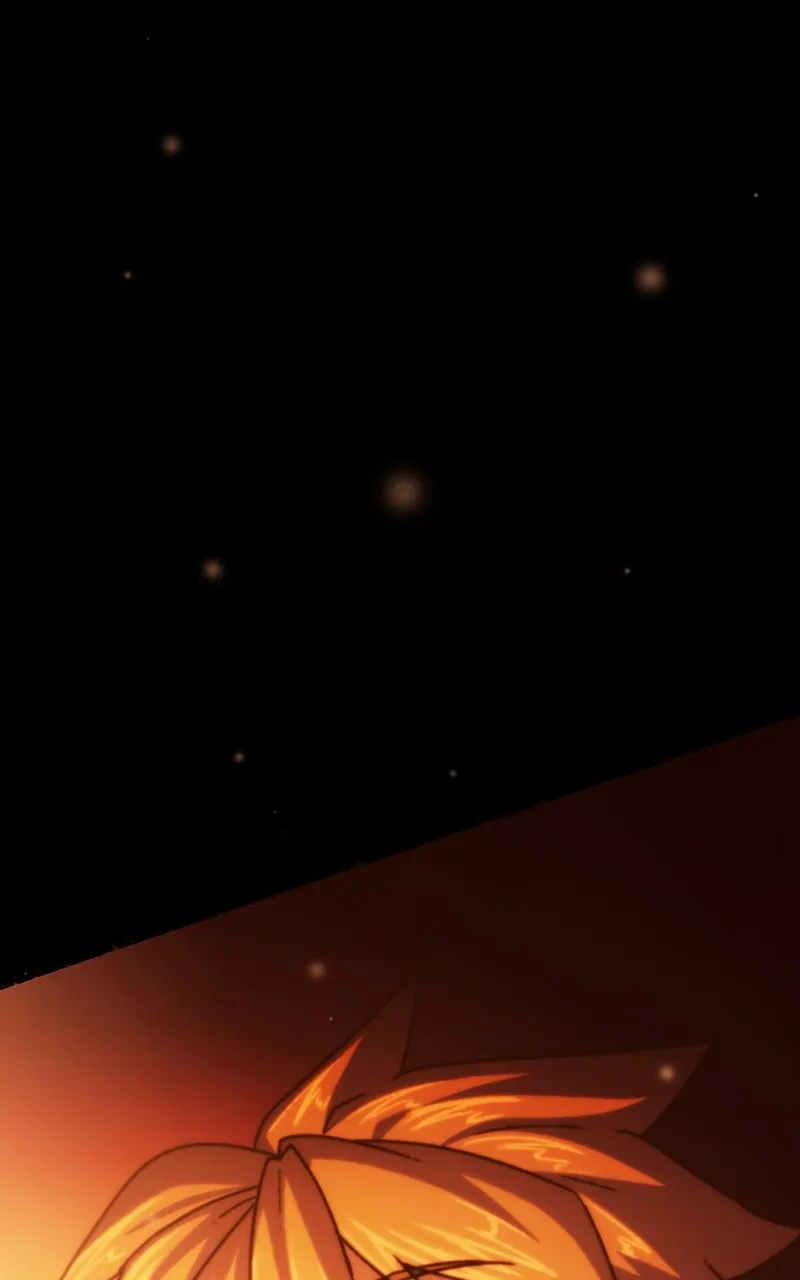 City of Blank Chapter 206 page 29 - 