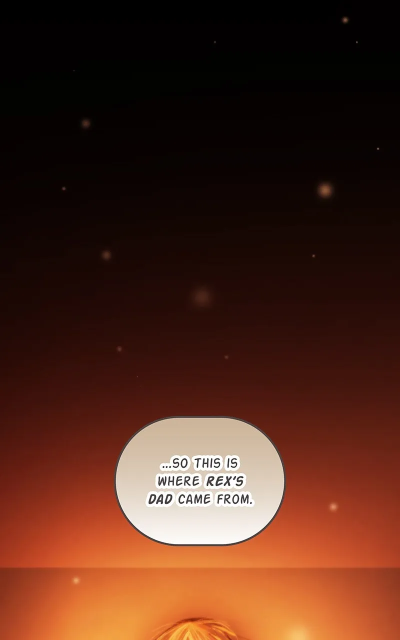 City of Blank Chapter 206 page 31 - 