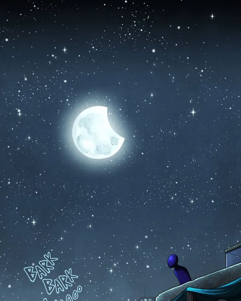 City of Blank Chapter 21 page 1 - 