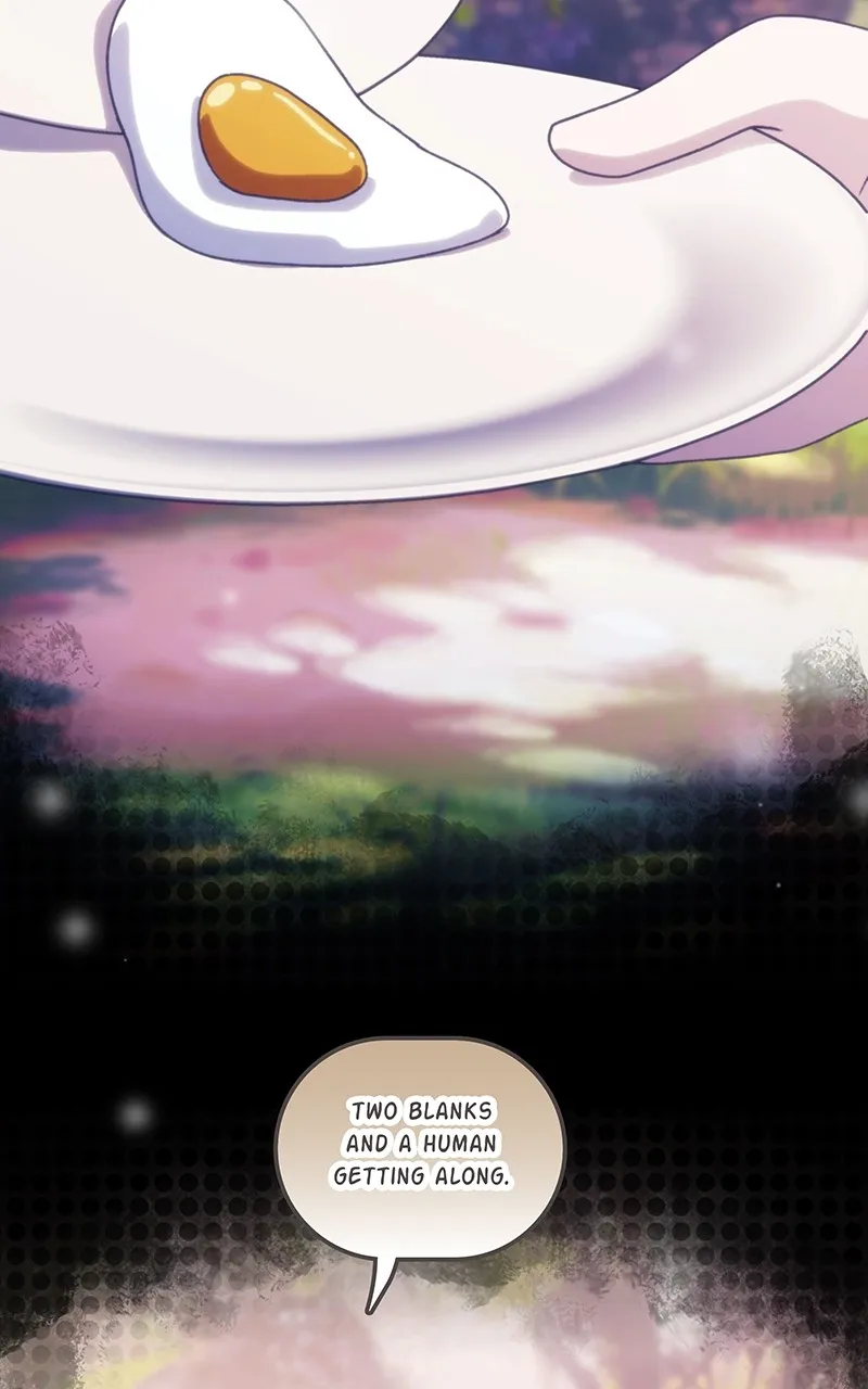 City of Blank Chapter 215 page 13 - 