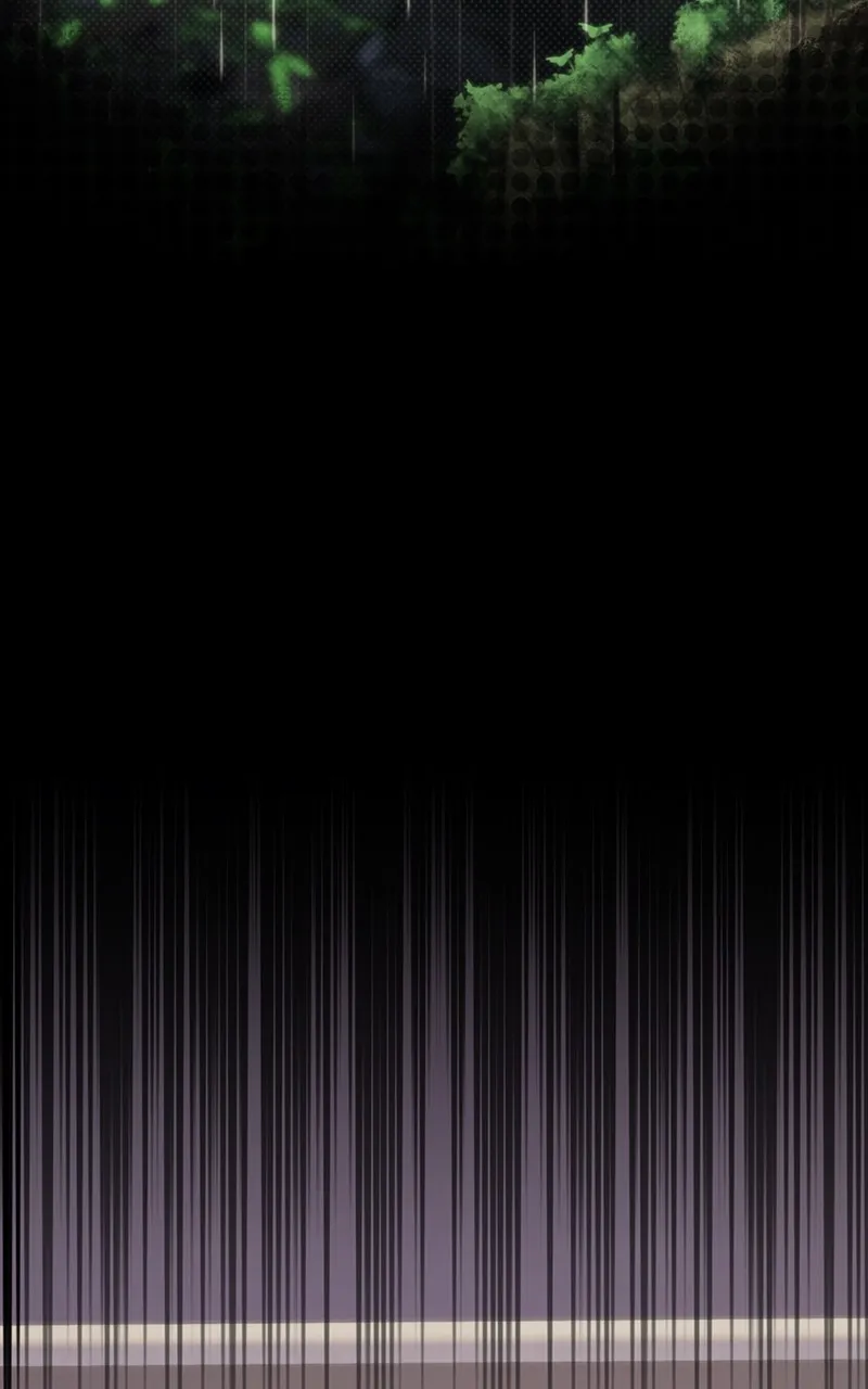 City of Blank Chapter 215 page 38 - 