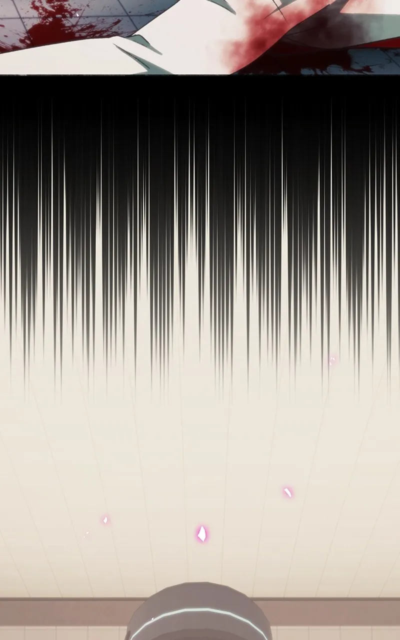 City of Blank Chapter 215 page 49 - 
