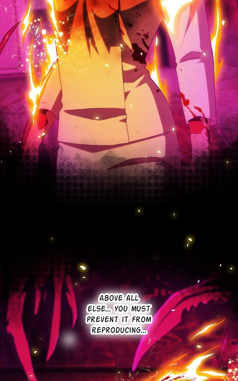 City of Blank Chapter 215 page 68 - 