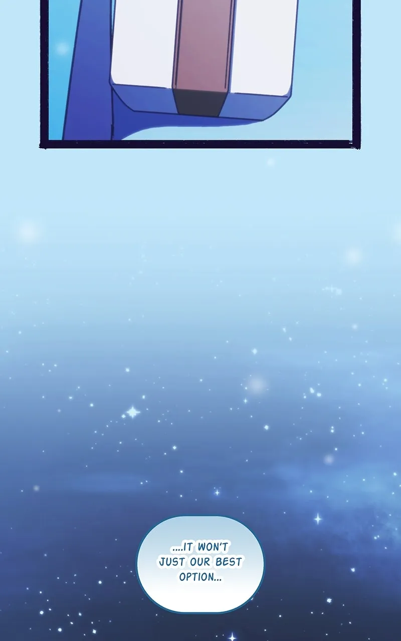 City of Blank Chapter 219 page 8 - 