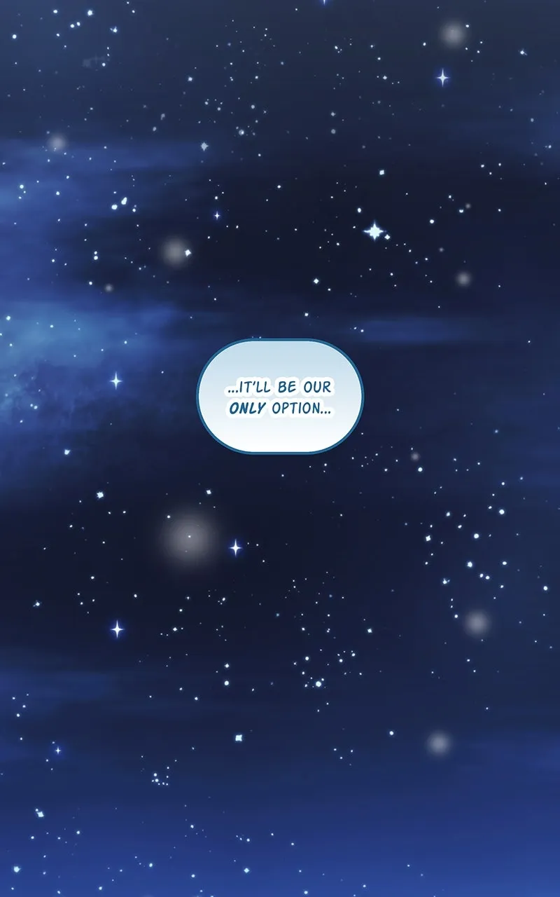 City of Blank Chapter 219 page 9 - 