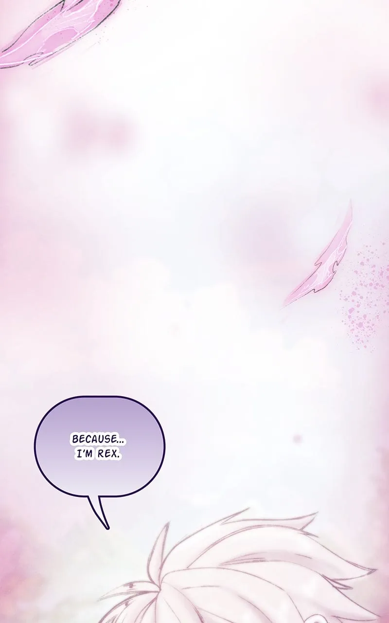 City of Blank Chapter 228 page 50 - 