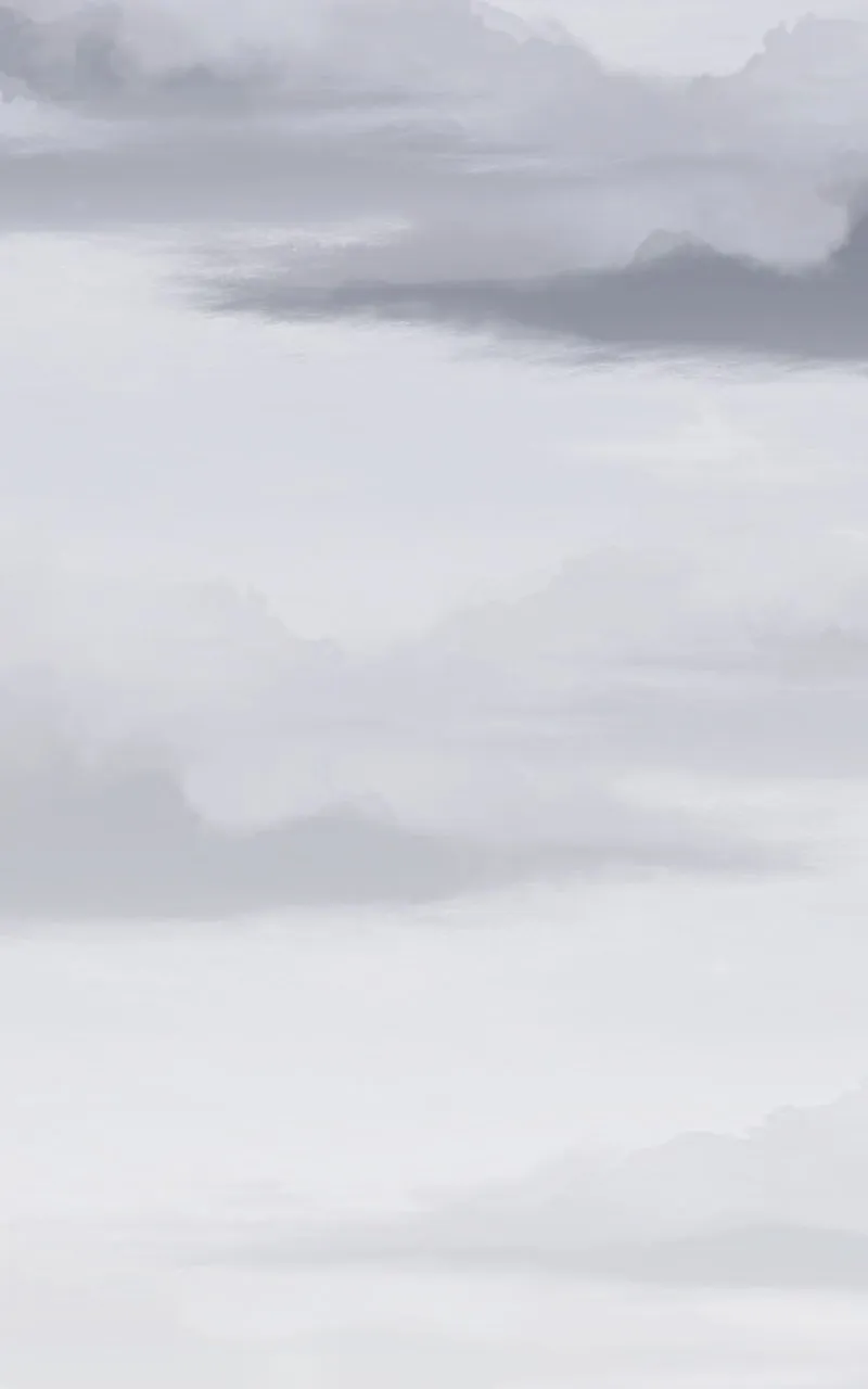 City of Blank Chapter 233 page 1 - 
