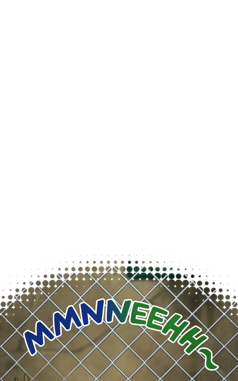 City of Blank Chapter 47 page 11 - 