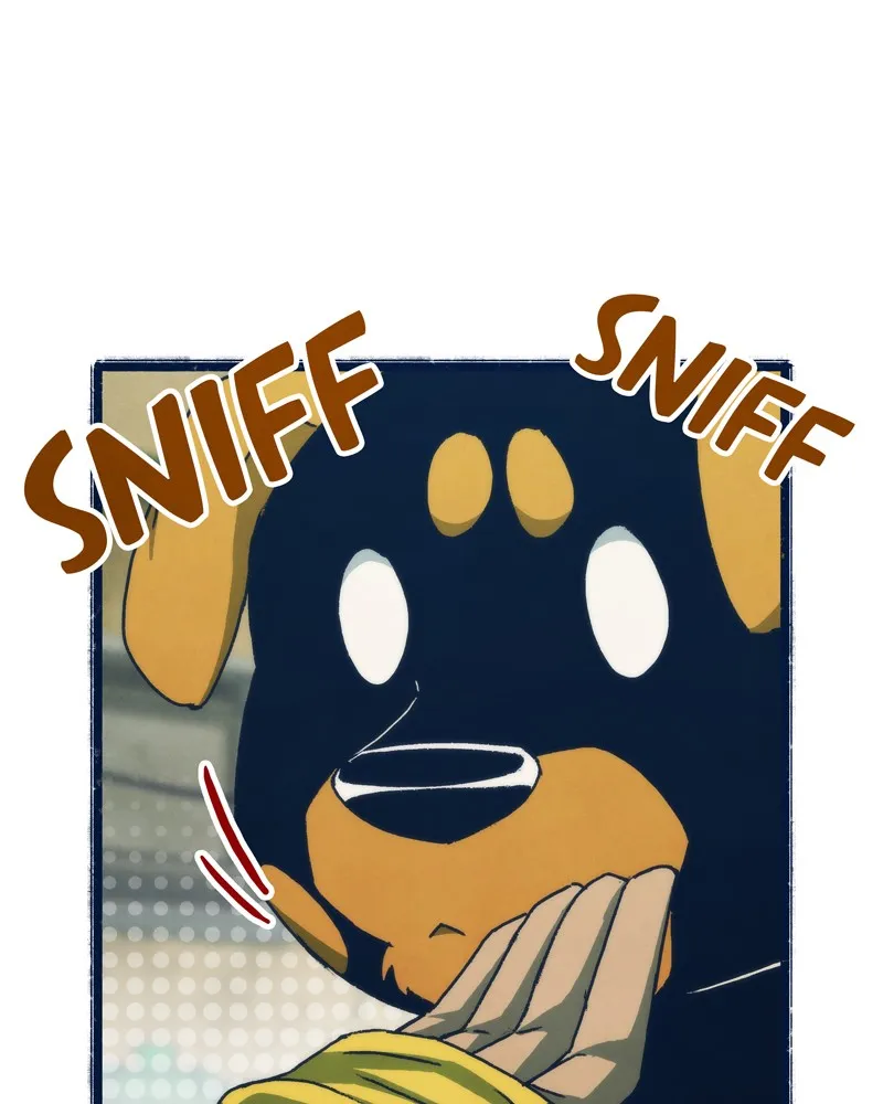 City of Blank Chapter 48 page 19 - 
