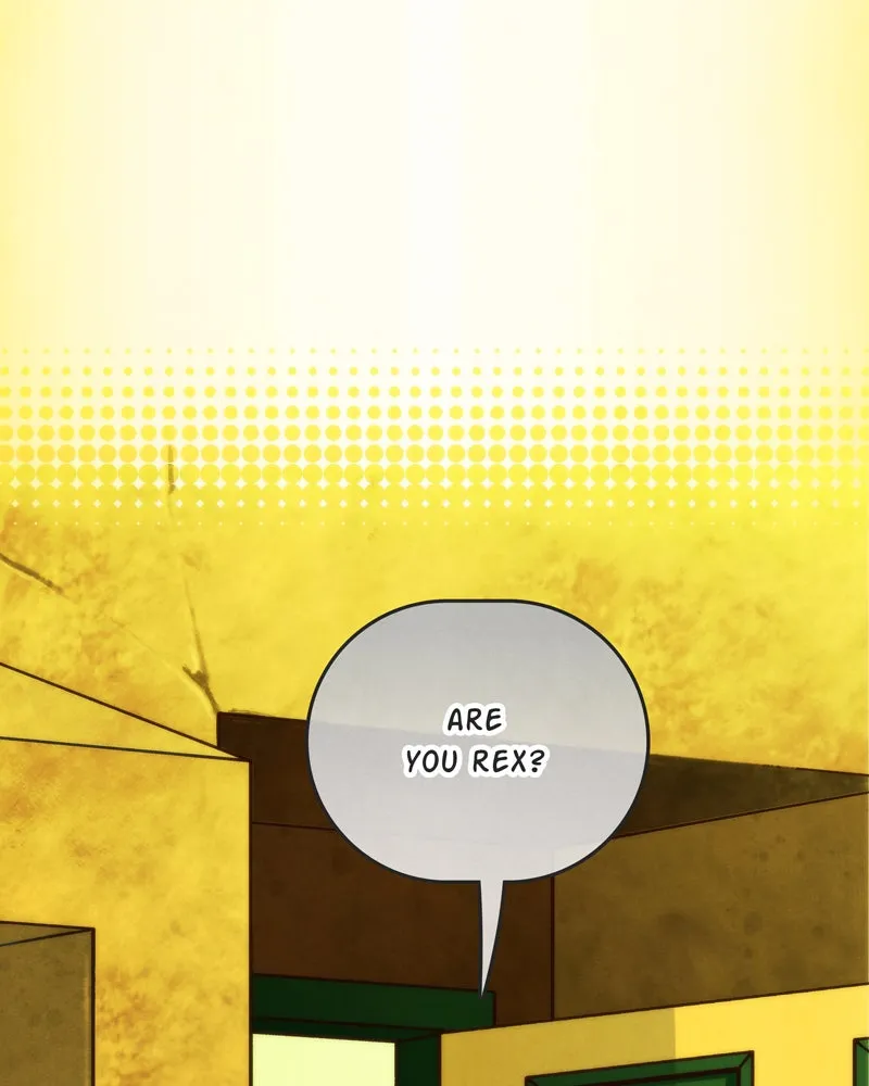 City of Blank Chapter 51 page 116 - 