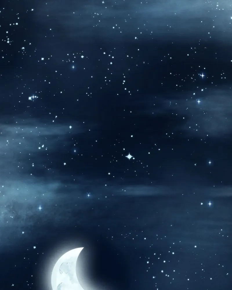 City of Blank Chapter 51 page 97 - 