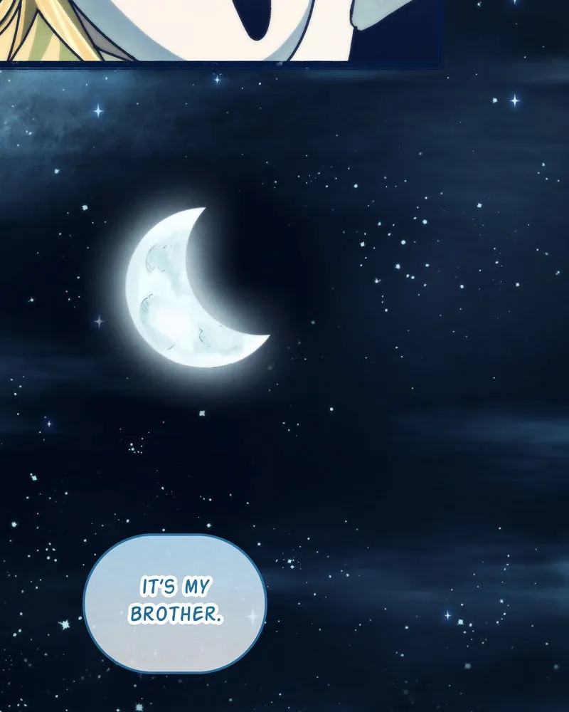 City of Blank Chapter 53 page 95 - 