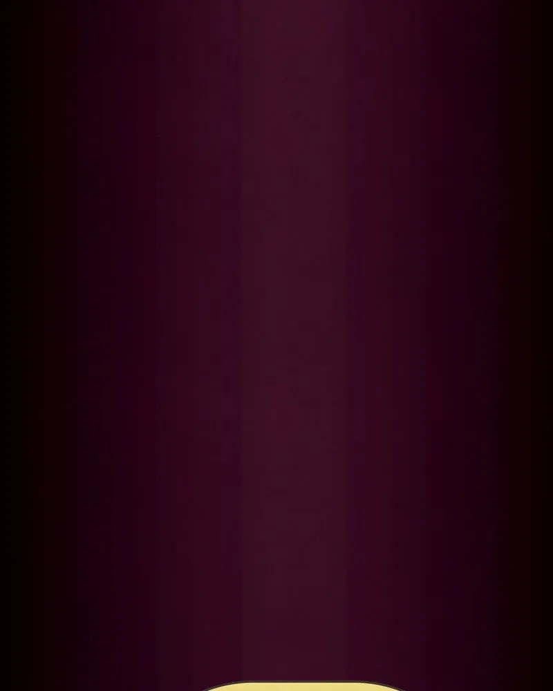 City of Blank Chapter 54 page 33 - 