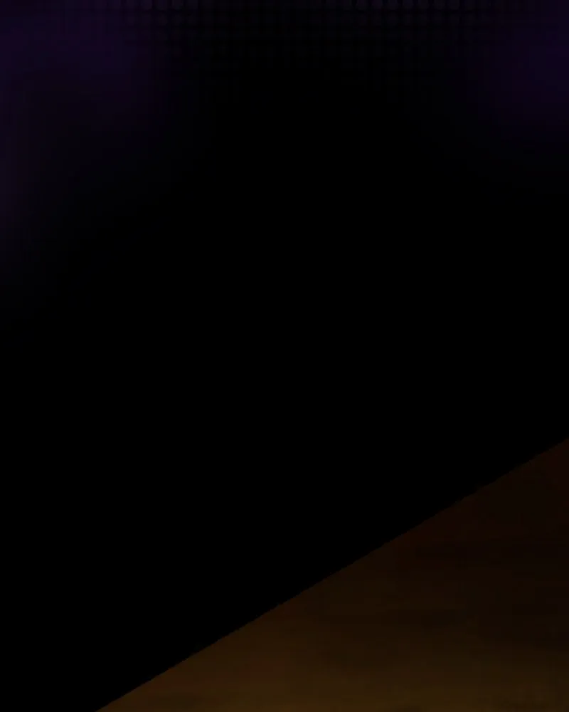 City of Blank Chapter 60 page 49 - 