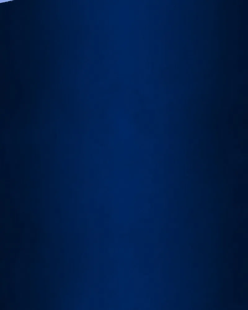 City of Blank Chapter 61 page 112 - 