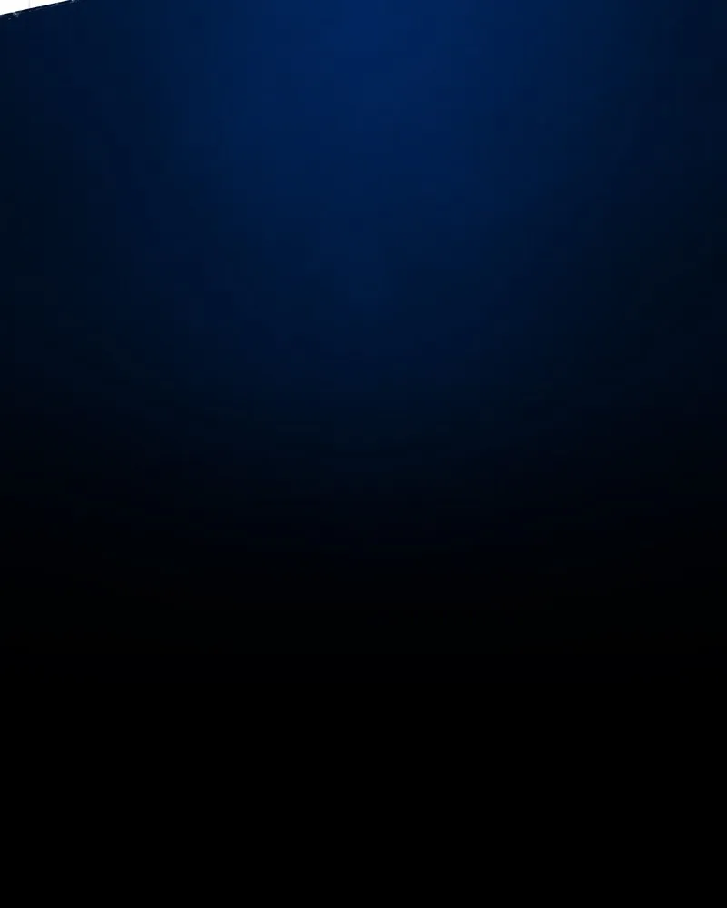 City of Blank Chapter 61 page 115 - 