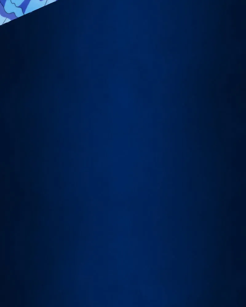 City of Blank Chapter 61 page 84 - 
