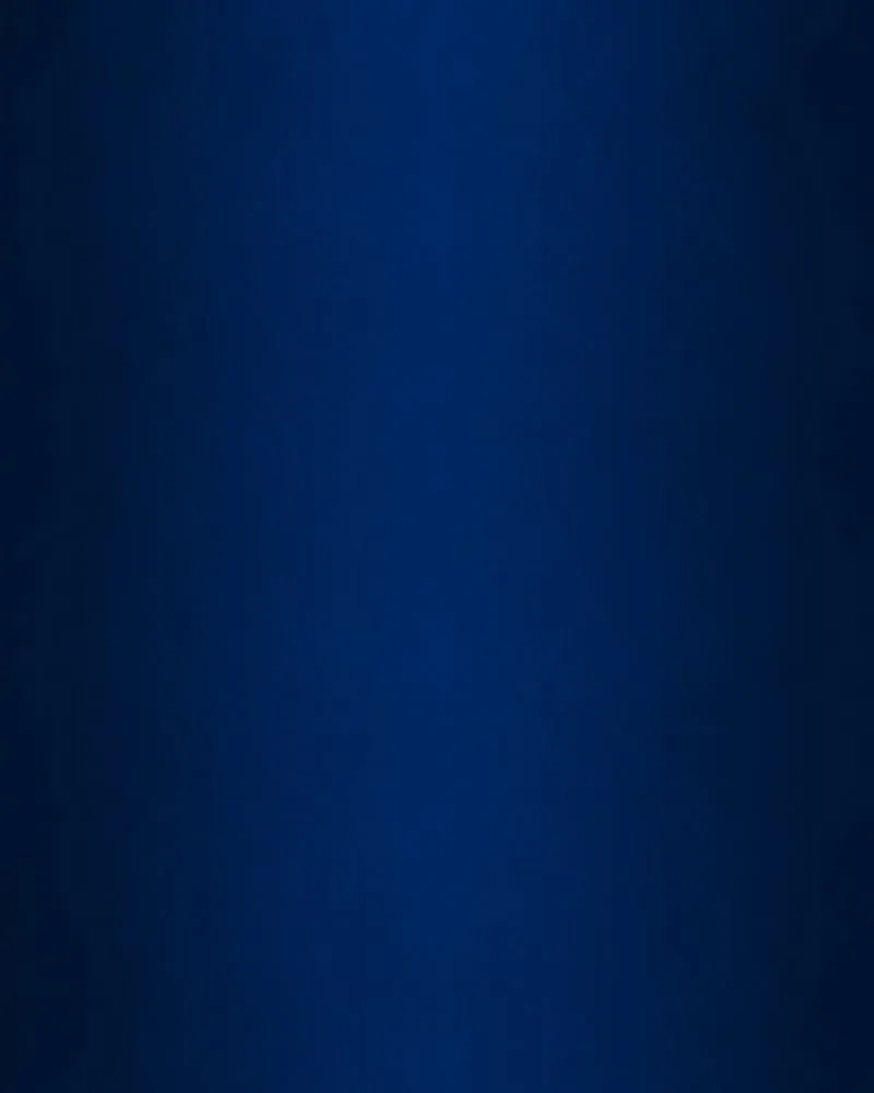 City of Blank Chapter 61 page 98 - 